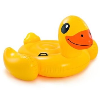 Canard multicolore 1.47x1.47x0.81m