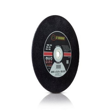 Disque Ø300x3 mm alésage Ø25.4mm pour Acier stayer