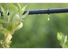 ARROSAGE GOUTTE À GOUTTE